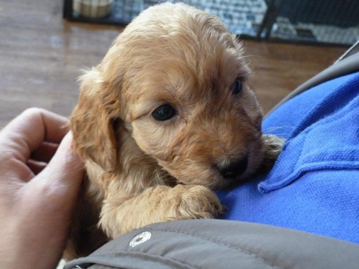 378357_2926289991987_1609967683_n