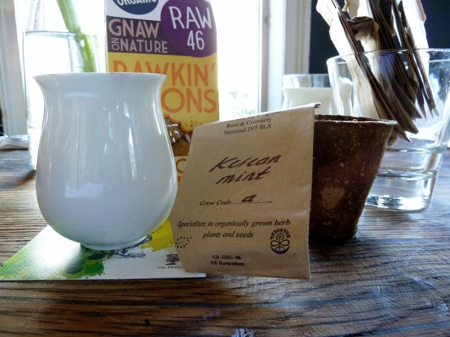 My Little Korean Mint&nbsp;Plant