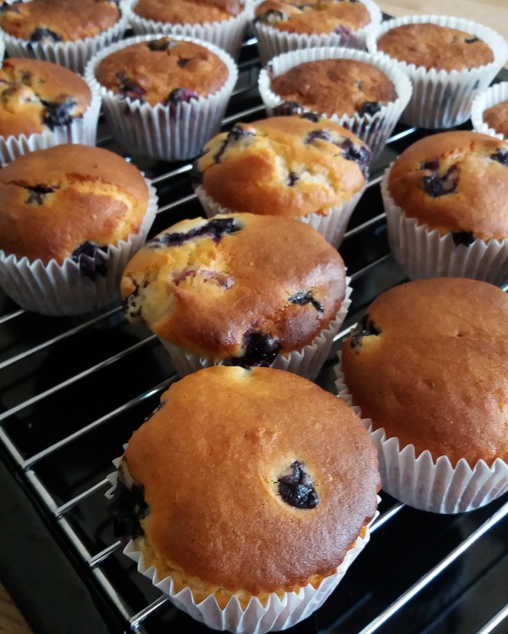 gluten free blueberry muffins